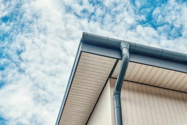 Gutter Fascia Repair in Holland