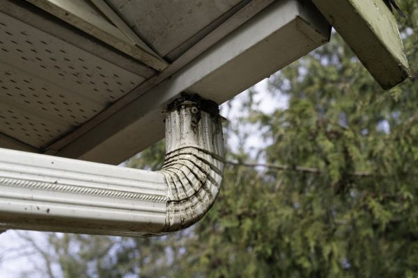 Roof Drain Replacement in Holland