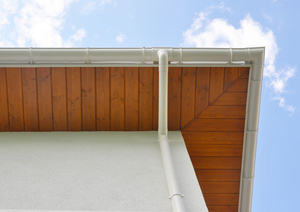 Downspout Diverter Service in Holland
